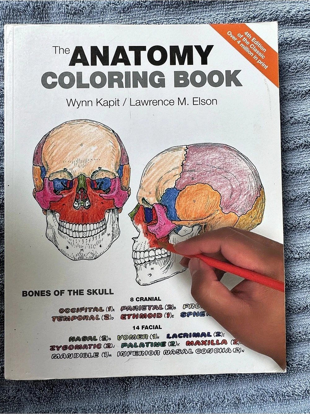 Pearson The Anatomy Coloring Book 4th Edition